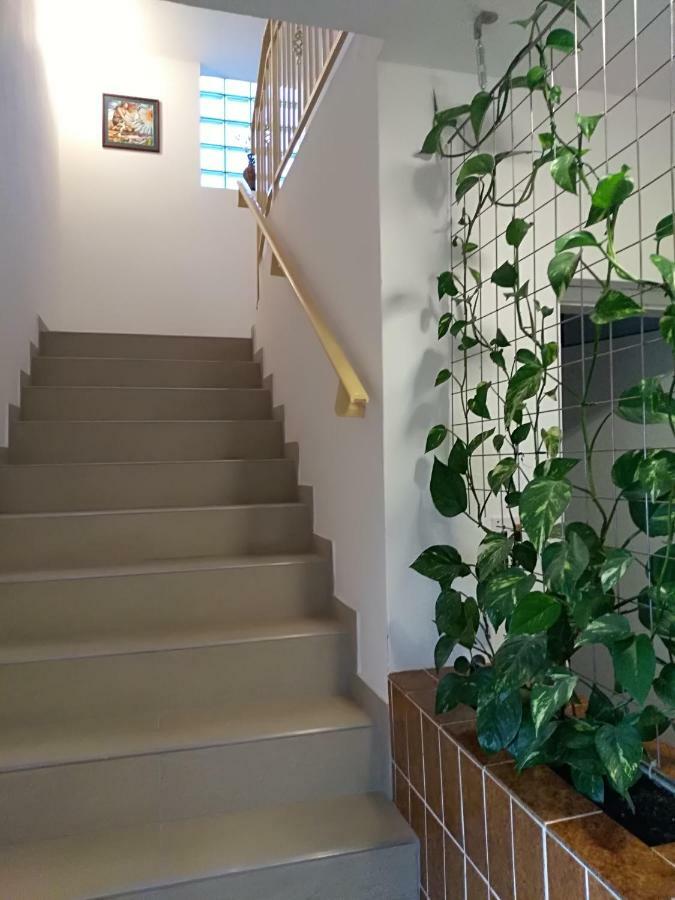 Apartmani Jovanovic Petrovac Exterior photo